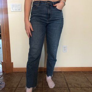 American Eagle Medium Wash Mom Jeans